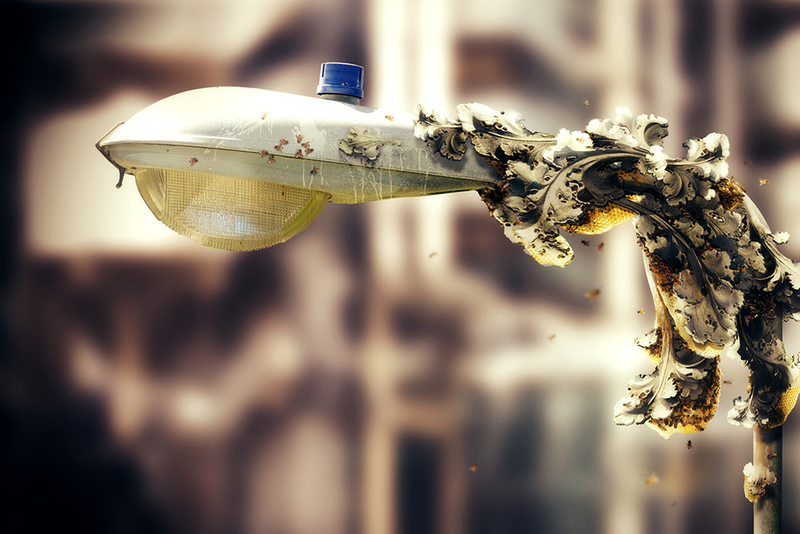 Illustration for article titled The Best Gizmodo Stories of 2013